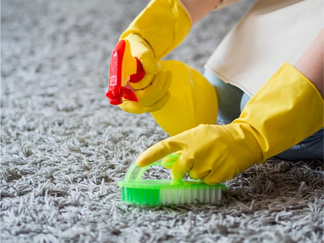 Bloomingdale carpet cleaning