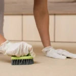 Hot Water Extraction Carpet Cleaner