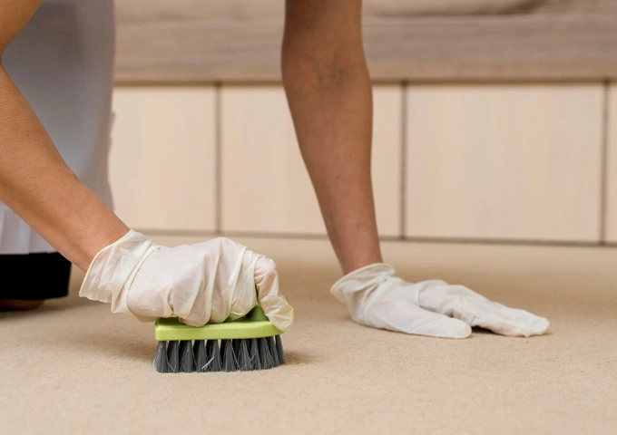Hot Water Extraction Carpet Cleaner