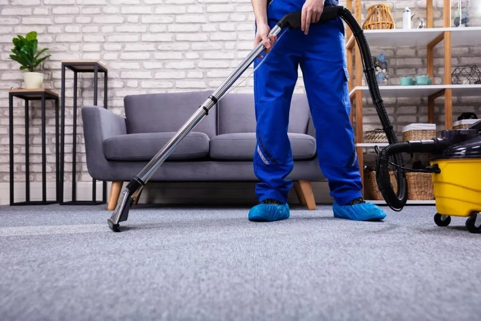 Best Way to Dry Carpet After Cleaning