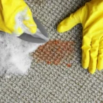 Carpet Stain Removal Service Blog Carpet Stain Removal Service Blog