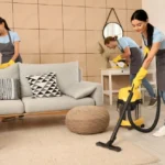 Commercial vs Residential Carpet Cleaning Blog 