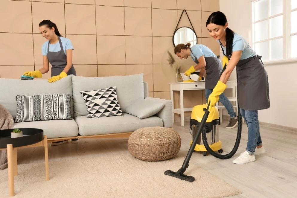 Commercial vs Residential Carpet Cleaning