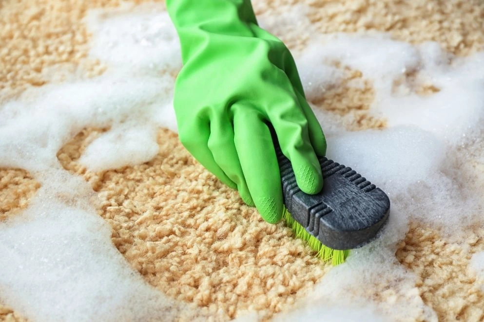 How to Wash Carpet Without Machine