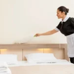 Professional Mattress Cleaning In NJ Blog 