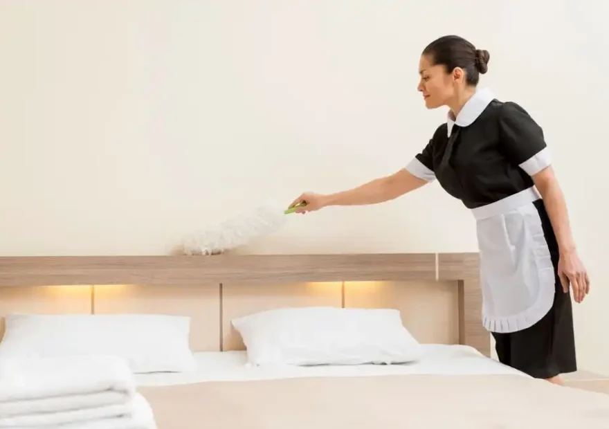 Professional Mattress Cleaning In NJ