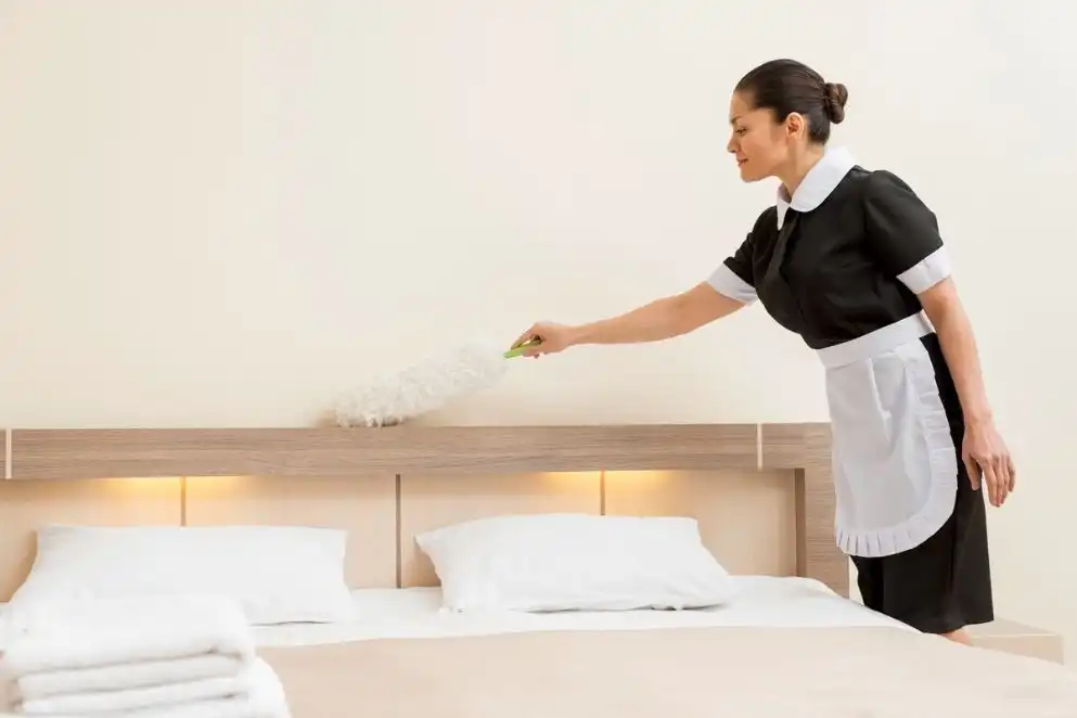 Professional Mattress Cleaning In NJ