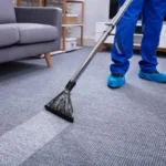 Steam Cleaner vs Carpet Cleaner Blog 