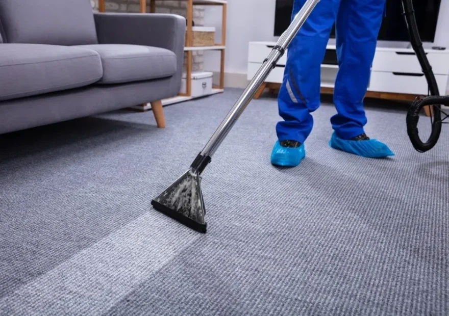 Steam Cleaner vs Carpet Cleaner