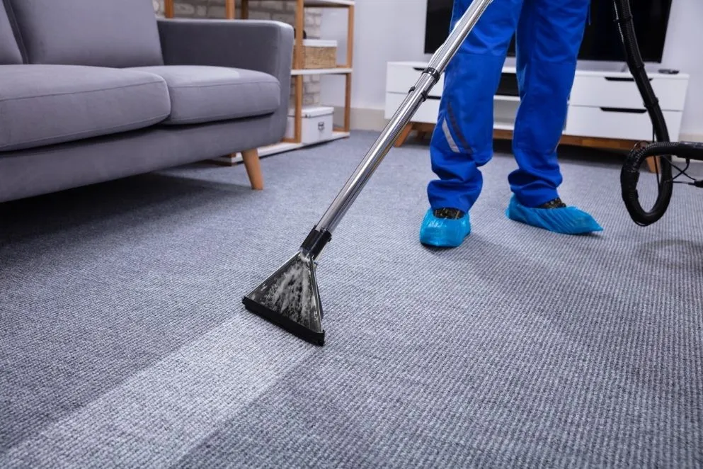 Steam Cleaner vs Carpet Cleaner