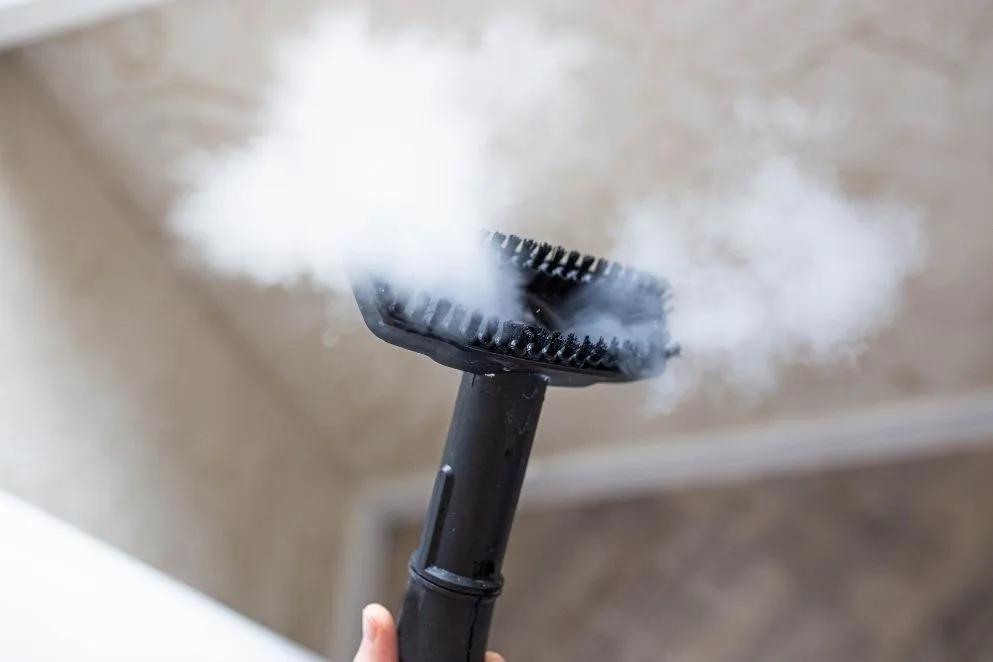 Steam vs Dry Carpet Cleaning