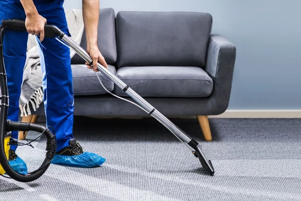 Water Stains on Carpet Removal