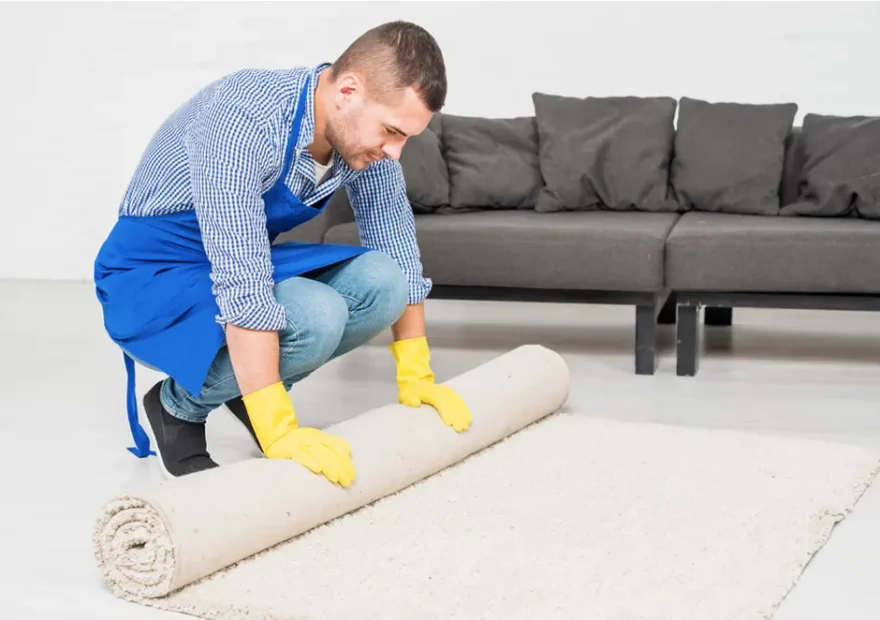 Benefits of professional carpet cleaning 001