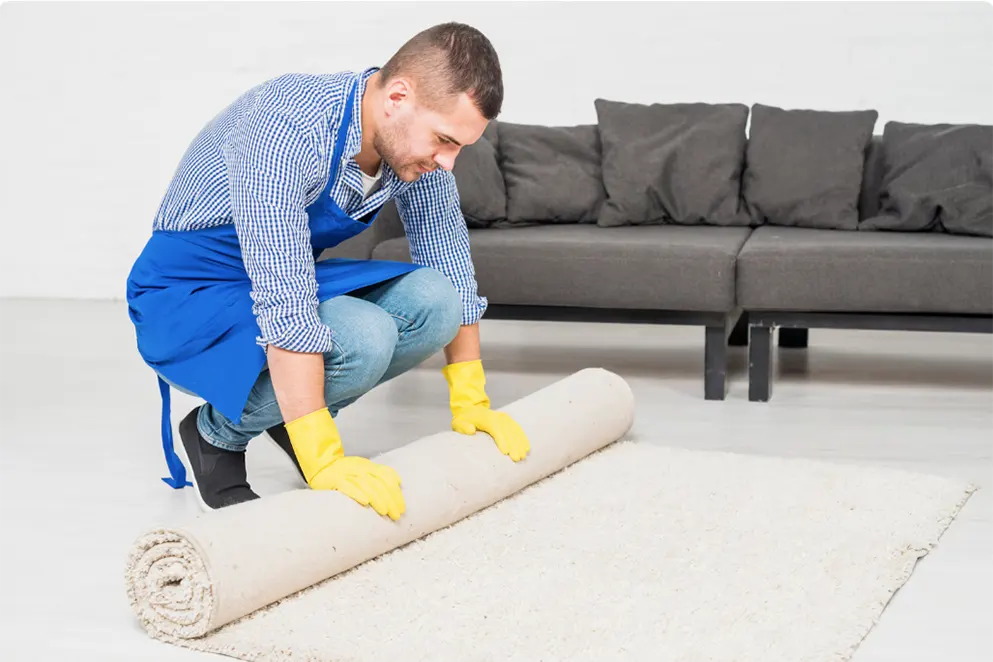 Benefits of professional carpet cleaning 001