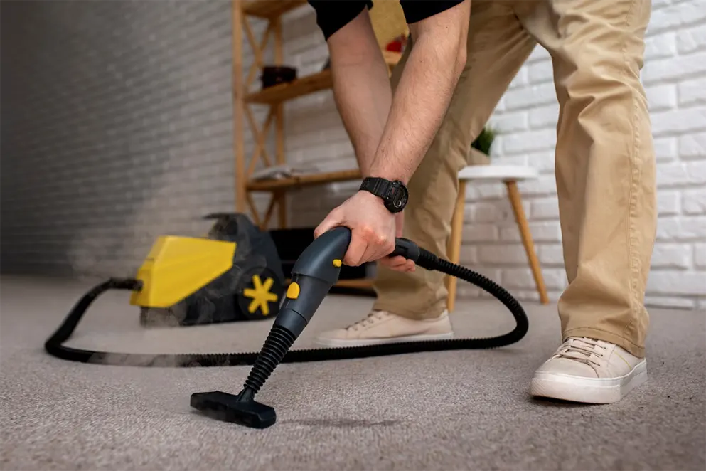 Benefits of professional carpet cleaning 002