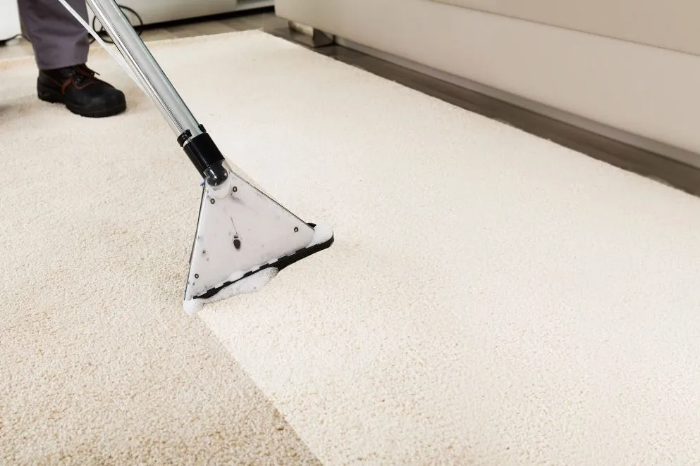 how-long-does-professional-carpet-cleaning-take-002 How Long Does Professional Carpet Cleaning Take?