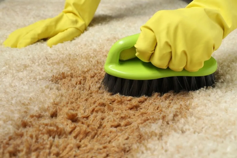 How to Remove Tea Stains From a Carpet?