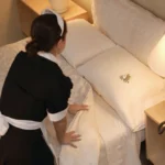 Mattress Cleaning Companies Near Me Blog 
