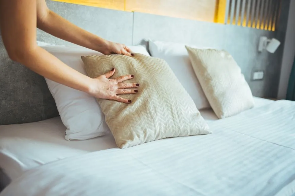 Moldy Mattress Cleaning