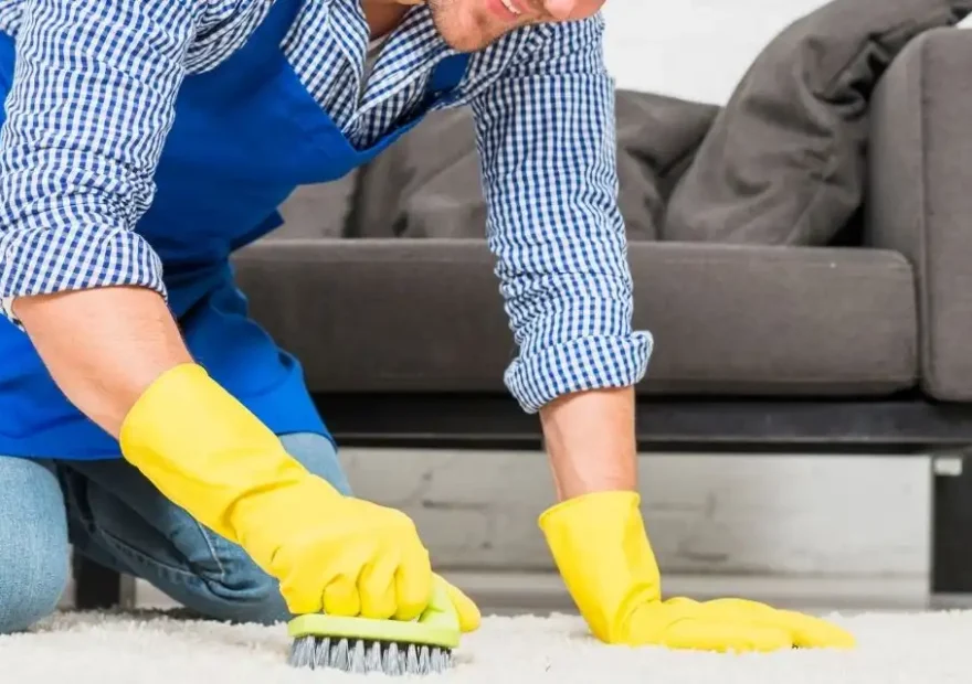 How To Get Chocolate Stains Out of Carpet