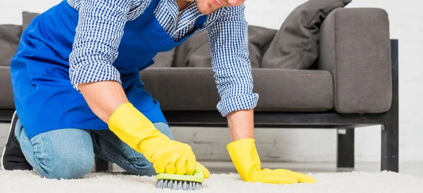 How To Get Chocolate Stains Out of Carpet