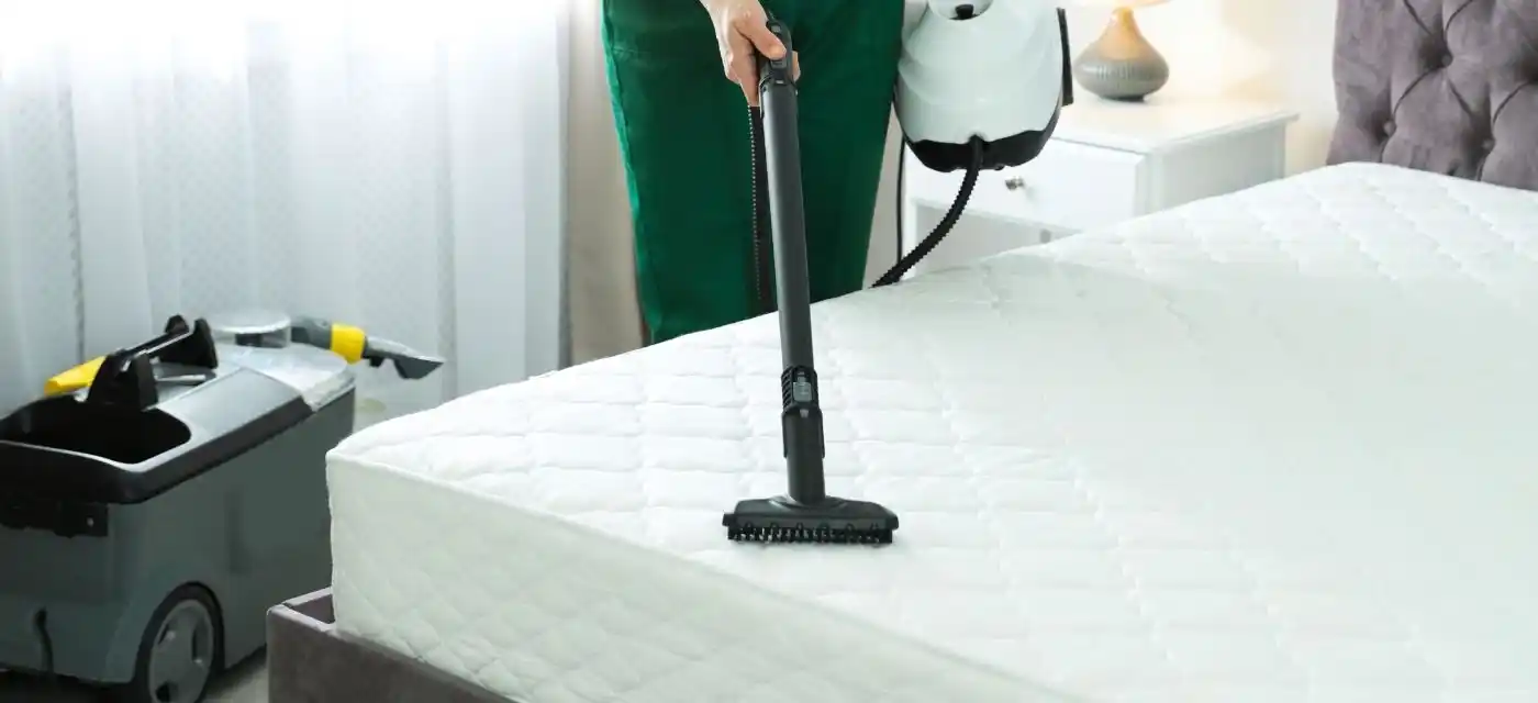 How to Remove Urine Stains Mattress? Blog 