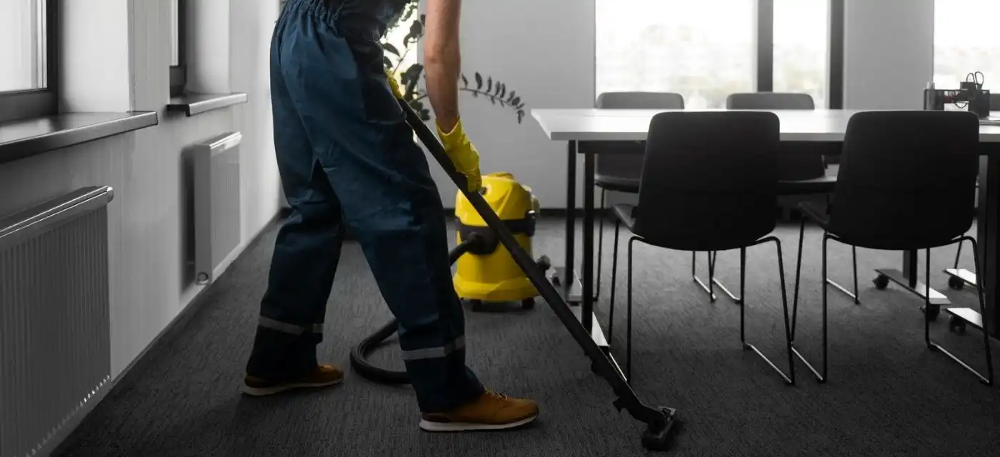 Professional Carpet Cleaning Guide